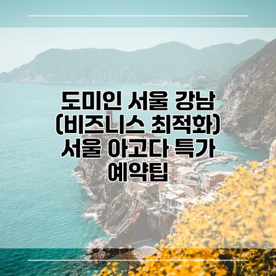 도미인 서울 강남 (비즈니스 최적화) 서울 아고다 특가 예약팁