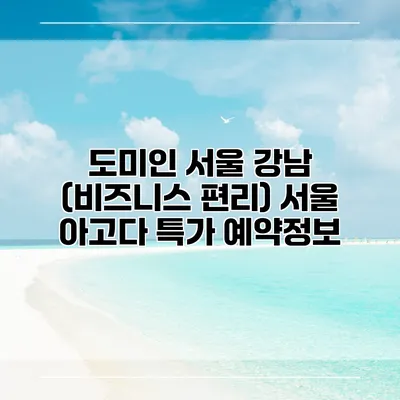 도미인 서울 강남 (비즈니스 편리) 서울 아고다 특가 예약정보