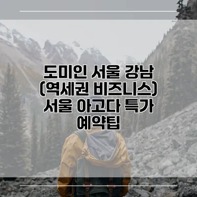도미인 서울 강남 (역세권 비즈니스) 서울 아고다 특가 예약팁