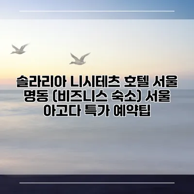 솔라리아 니시테츠 호텔 서울 명동 (비즈니스 숙소) 서울 아고다 특가 예약팁