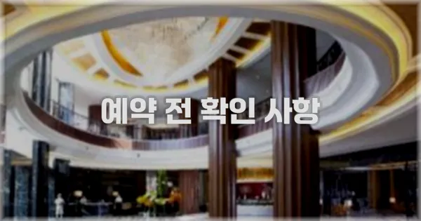 예약 전 확인 사항