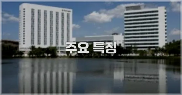 ✨ 주요 특징
