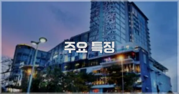 ✨ 주요 특징
