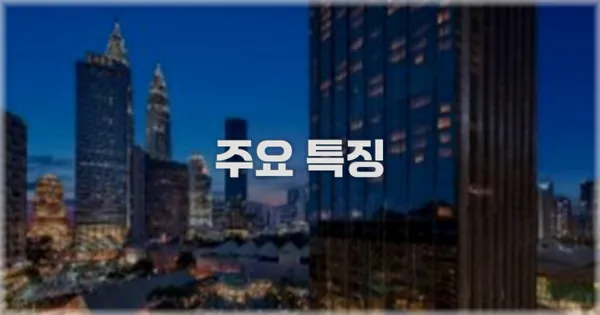 ✨ 주요 특징