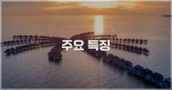 ✨ 주요 특징