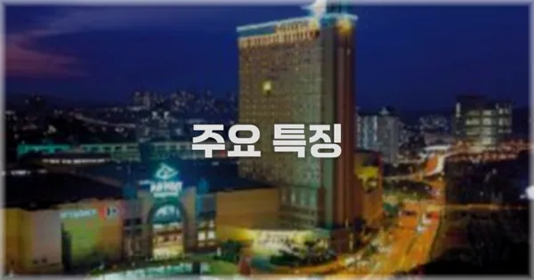 ✨ 주요 특징