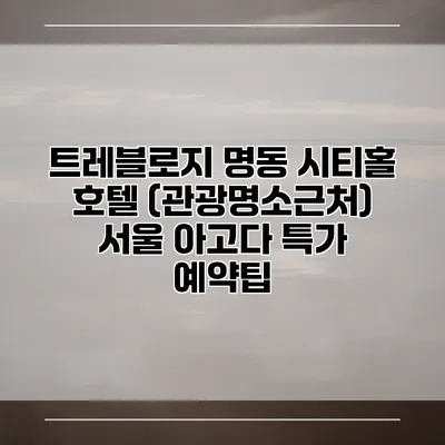 트레블로지 명동 시티홀 호텔 (관광명소근처) 서울 아고다 특가 예약팁