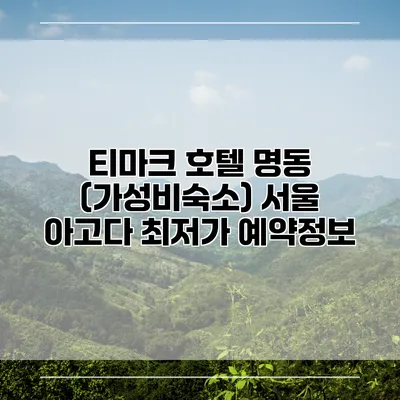 티마크 호텔 명동 (가성비숙소) 서울 아고다 최저가 예약정보