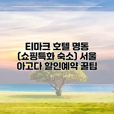 티마크 호텔 명동 (쇼핑특화 숙소) 서울 아고다 할인예약 꿀팁