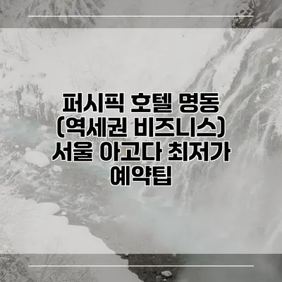 퍼시픽 호텔 명동 (역세권 비즈니스) 서울 아고다 최저가 예약팁