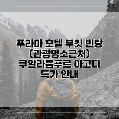 푸라마 호텔 부킷 빈탕 (관광명소근처) 쿠알라룸푸르 아고다 특가 안내