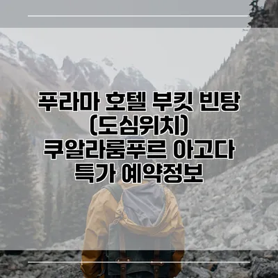 푸라마 호텔 부킷 빈탕 (도심위치) 쿠알라룸푸르 아고다 특가 예약정보