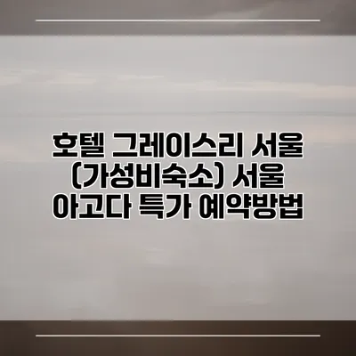 호텔 그레이스리 서울 (가성비숙소) 서울 아고다 특가 예약방법