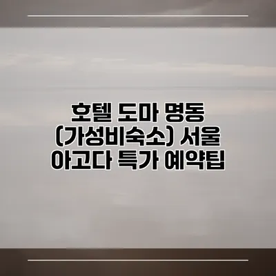 호텔 도마 명동 (가성비숙소) 서울 아고다 특가 예약팁