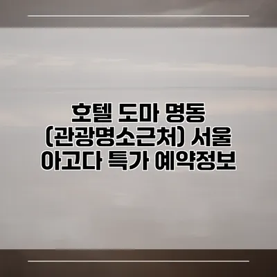 호텔 도마 명동 (관광명소근처) 서울 아고다 특가 예약정보