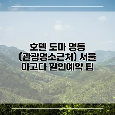 호텔 도마 명동 (관광명소근처) 서울 아고다 할인예약 팁