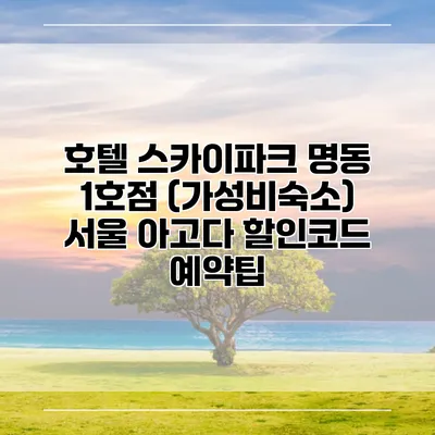 호텔 스카이파크 명동 1호점 (가성비숙소) 서울 아고다 할인코드 예약팁