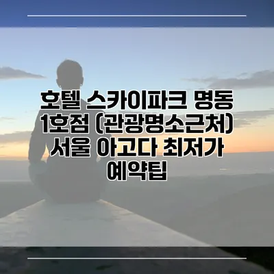 호텔 스카이파크 명동 1호점 (관광명소근처) 서울 아고다 최저가 예약팁