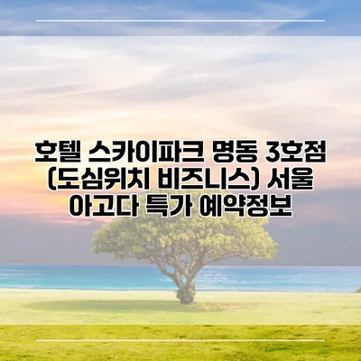 호텔 스카이파크 명동 3호점 (도심위치 비즈니스) 서울 아고다 특가 예약정보