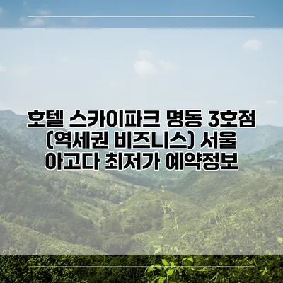 호텔 스카이파크 명동 3호점 (역세권 비즈니스) 서울 아고다 최저가 예약정보