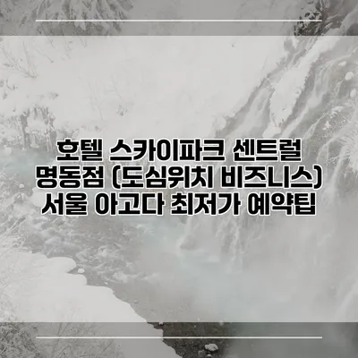 호텔 스카이파크 센트럴 명동점 (도심위치 비즈니스) 서울 아고다 최저가 예약팁