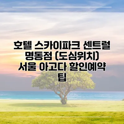 호텔 스카이파크 센트럴 명동점 (도심위치) 서울 아고다 할인예약 팁