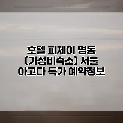 호텔 피제이 명동 (가성비숙소) 서울 아고다 특가 예약정보